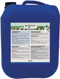 ERNIA 2.0