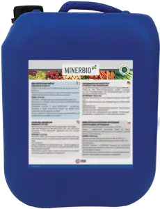 MINERBIO