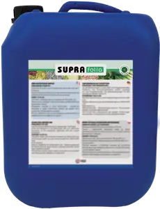 SUPRAFOLIA