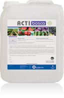 Acti Bosca