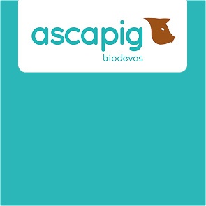 Ascapig